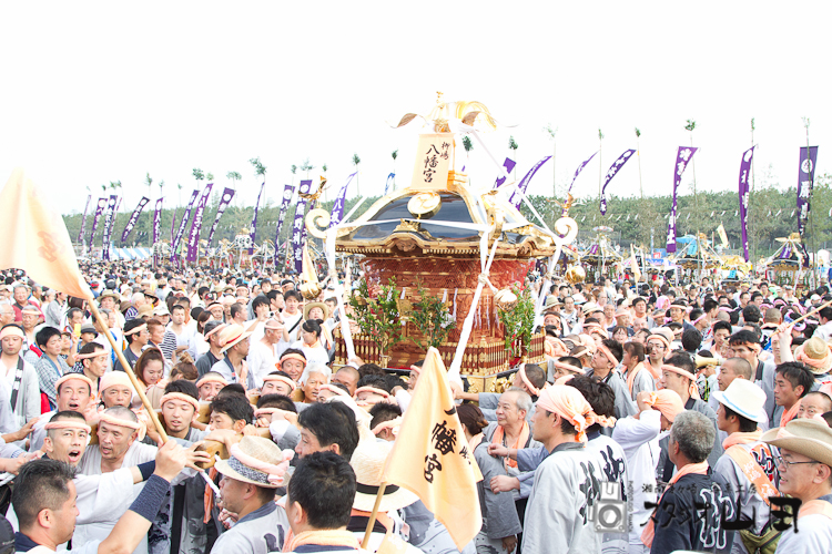 写真番号：　2469