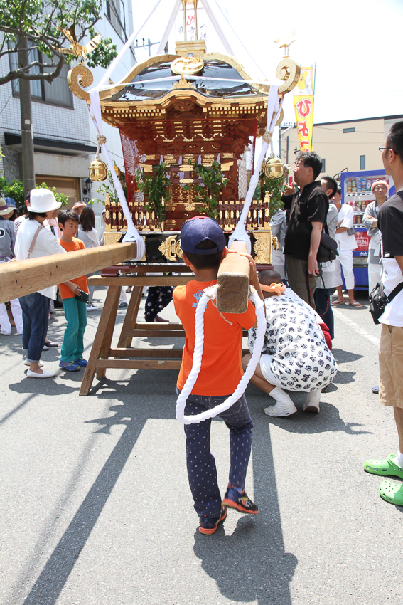 写真番号：0789